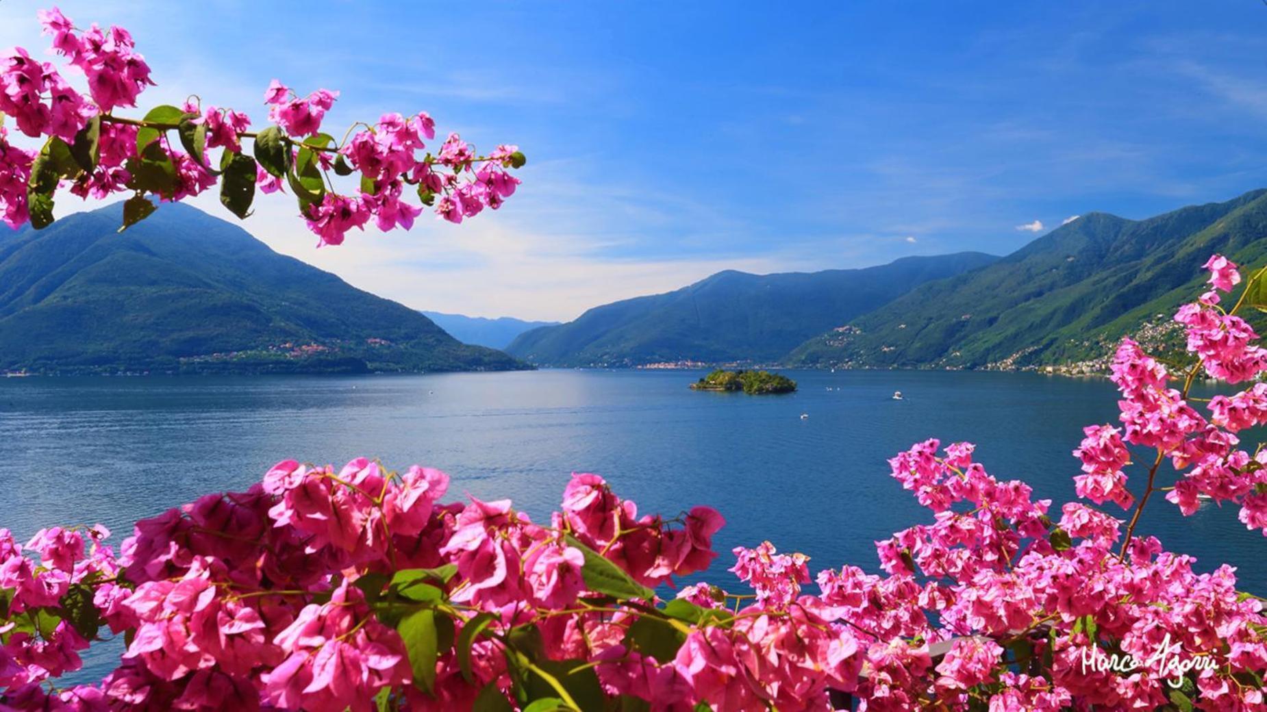 Charme Hotel Al Torchio Ascona Luaran gambar